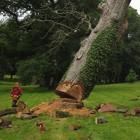 service de gestion et d'entretien de parcs et forêts