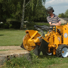 service de rognage de souches